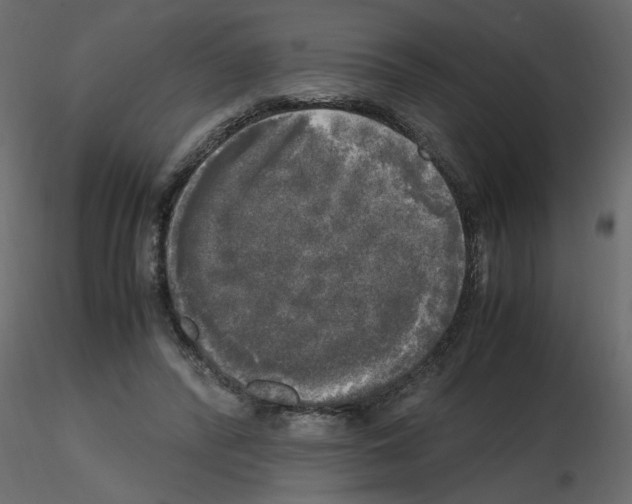 X0000115660400200912241403