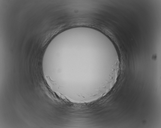 X0000115660401200912241403