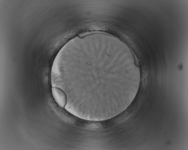 X0000115660402200912241403