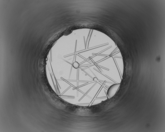 X0000115660403200912241403