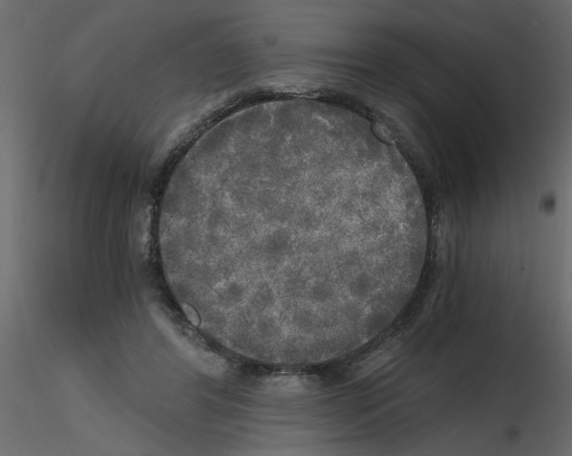 X0000115660404200912241403