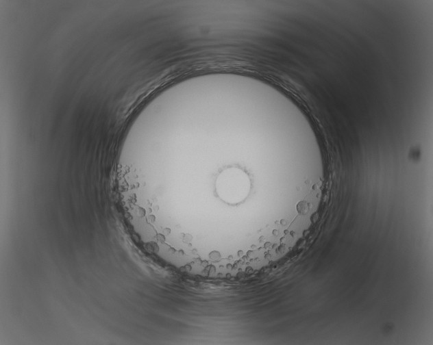 X0000115660405200912241403