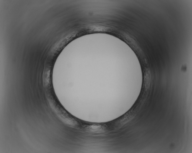 X0000115660406200912241403