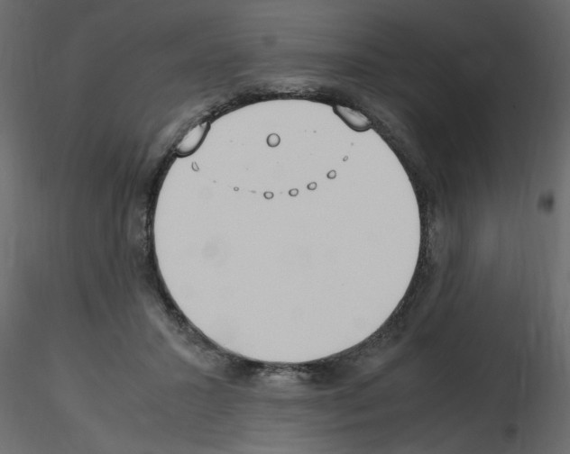 X0000115660407200912241403