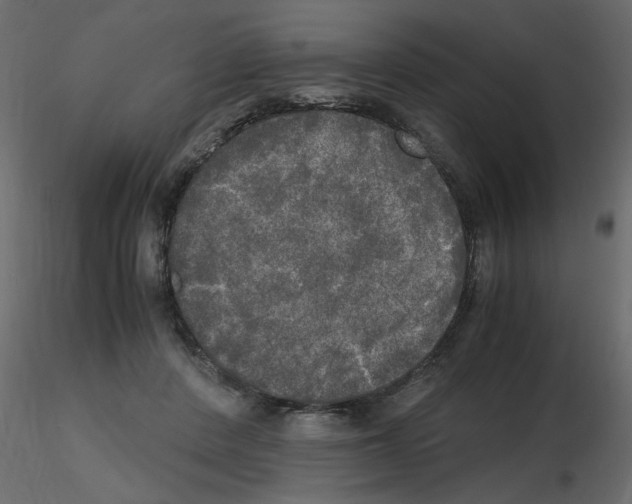 X0000115660408200912241403