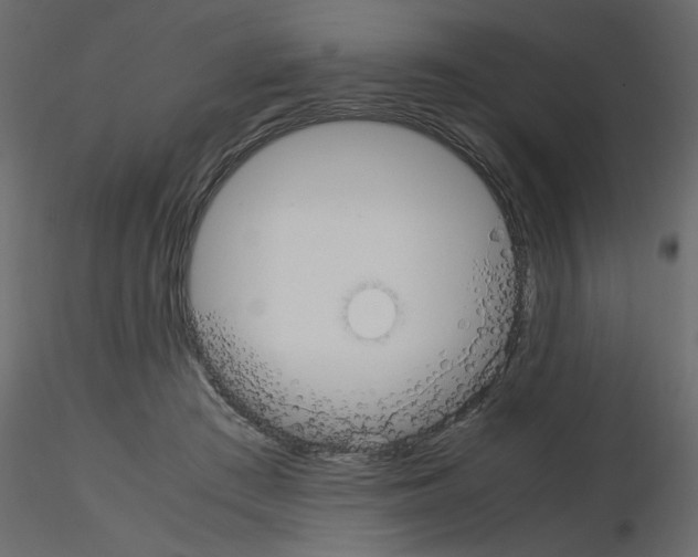 X0000115660409200912241403