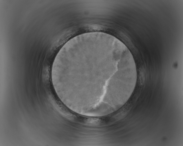 X0000115660410200912241403