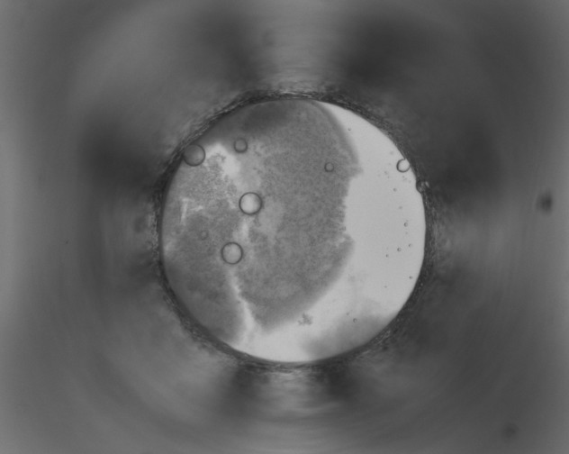 X0000115660411200912241403