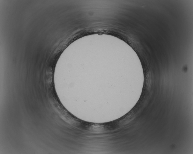 X0000115660413200912241403