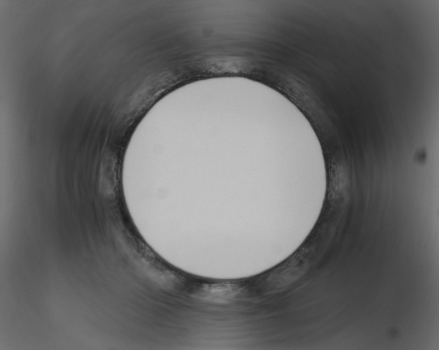 X0000115660414200912241403