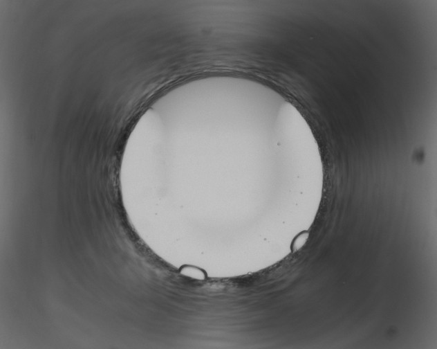 X0000115660415200912241403