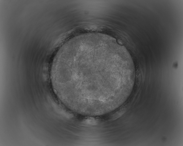 X0000115660416200912241403