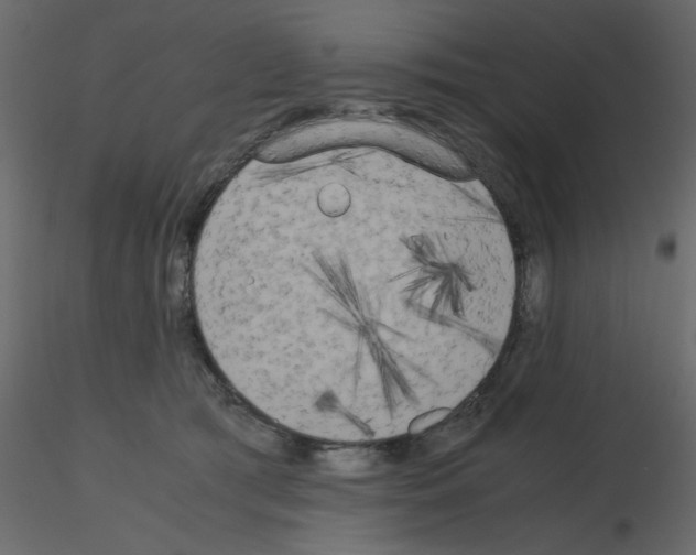 X0000115660417200912241403