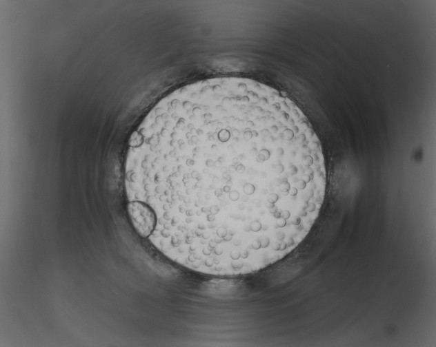 X0000115660418200912241403