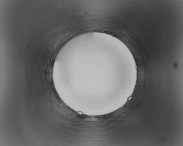 X0000115660419200912241403