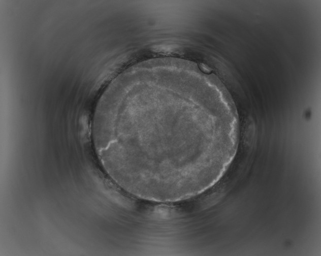 X0000115660420200912241403