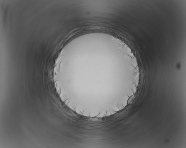 X0000115660421200912241403