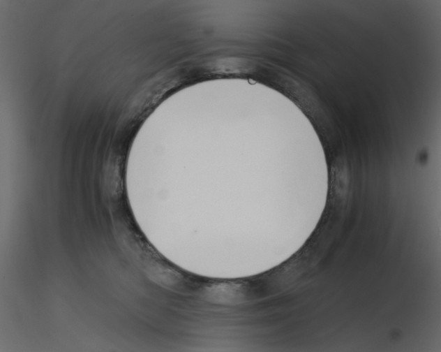 X0000115660422200912241403