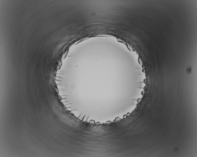 X0000115660423200912241403