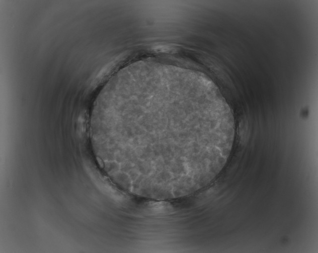 X0000115660424200912241403