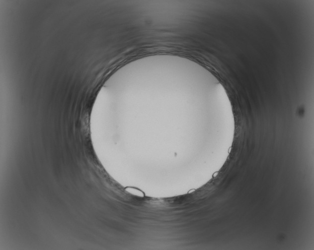 X0000115660425200912241403