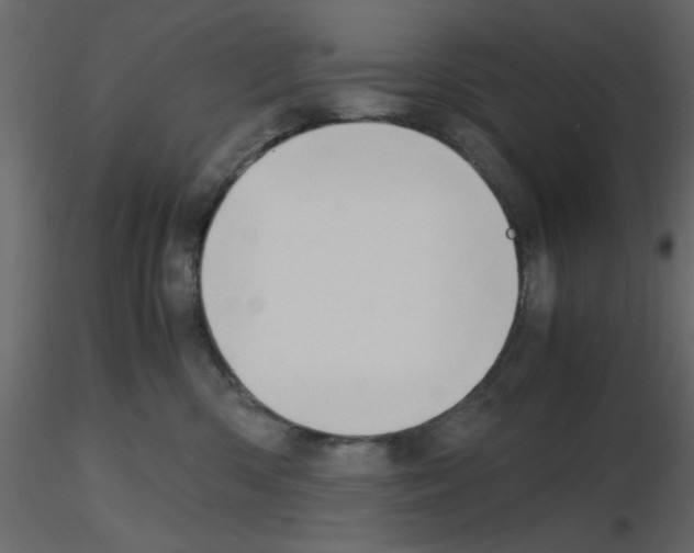 X0000115660426200912241403