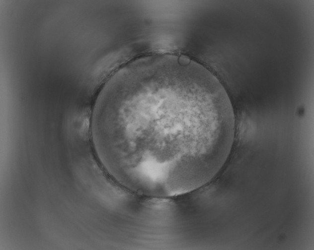 X0000115660427200912241403