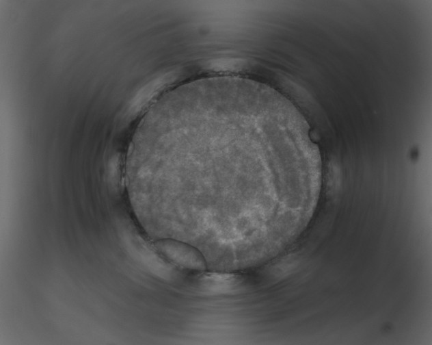 X0000115660428200912241403