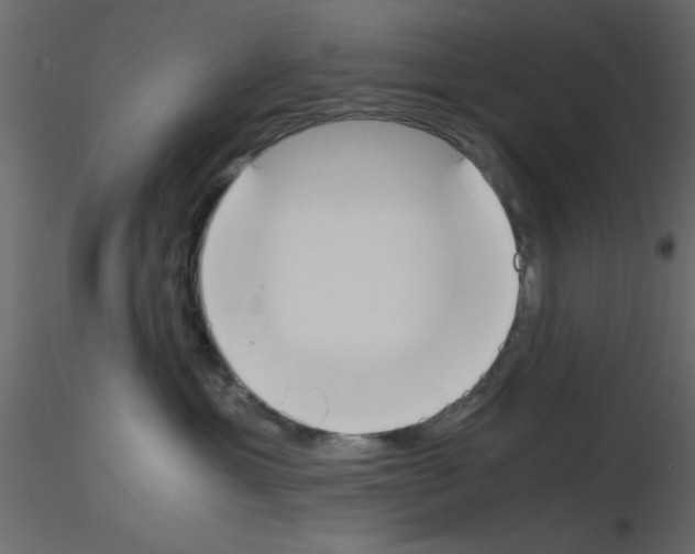 X0000115660429200912241403