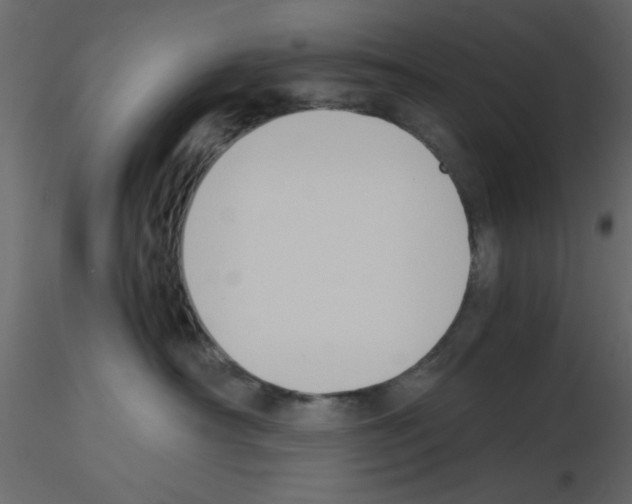 X0000115660430200912241403