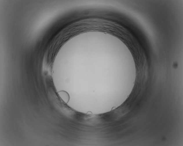 X0000115660431200912241403