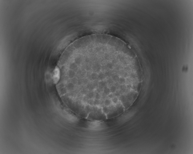 X0000115660432200912241402