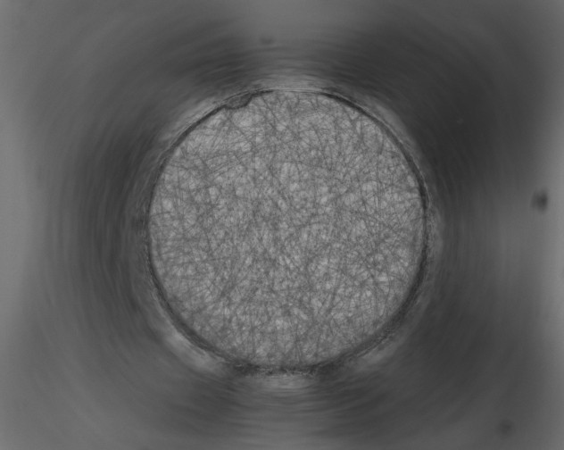 X0000115660433200912241402