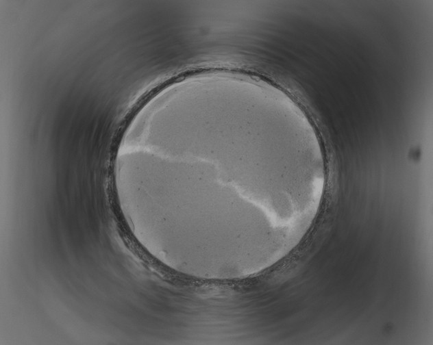 X0000115660434200912241402