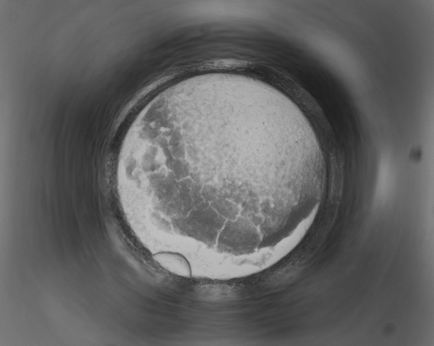 X0000115660435200912241402