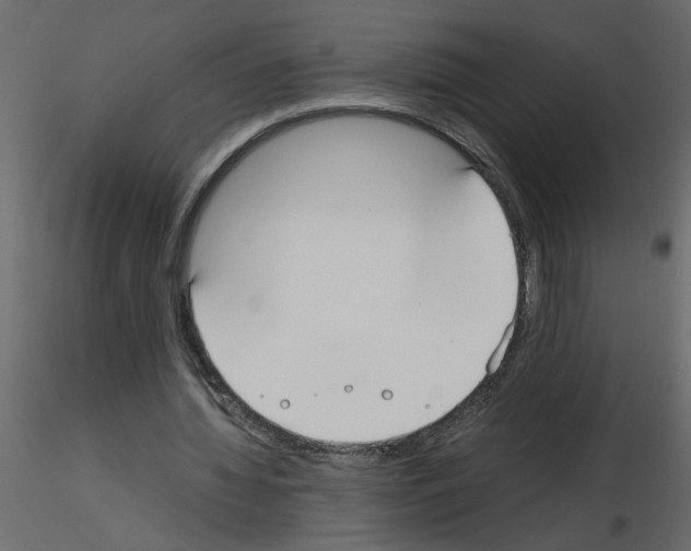 X0000115660436200912241402