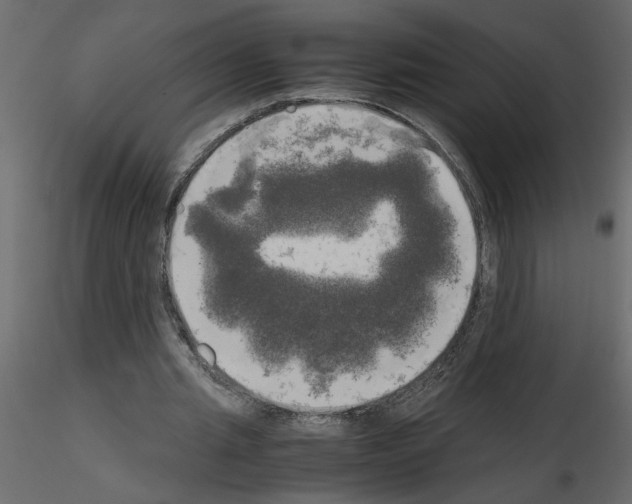 X0000115660437200912241402