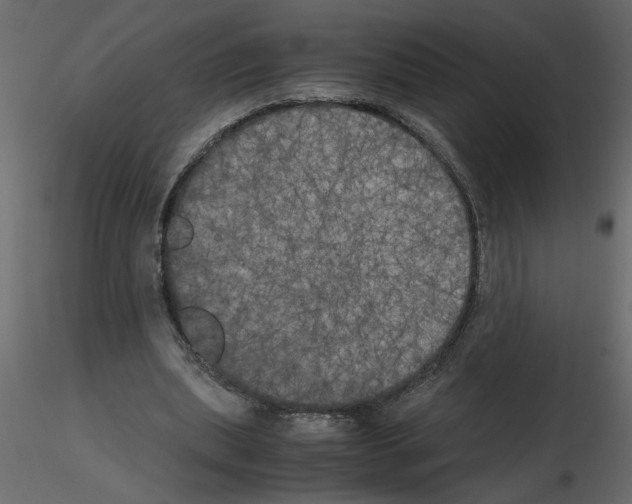 X0000115660439200912241402