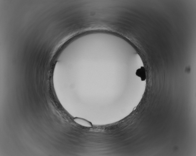 X0000115660440200912241402