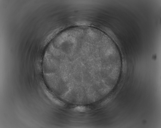 X0000115660441200912241402