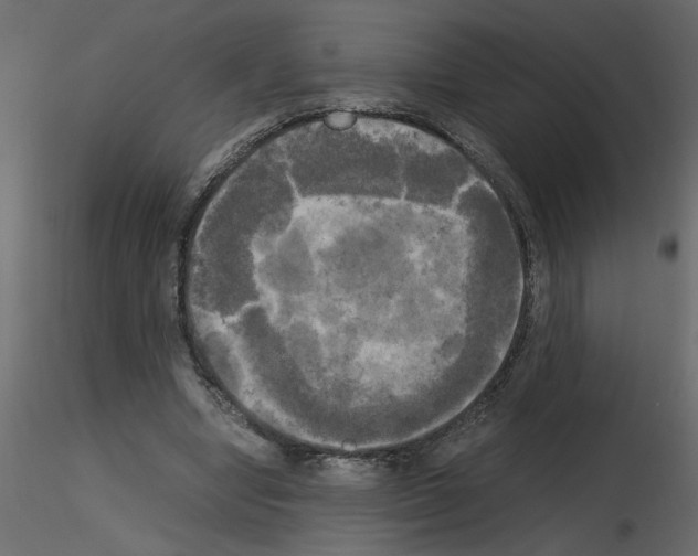 X0000115660442200912241402