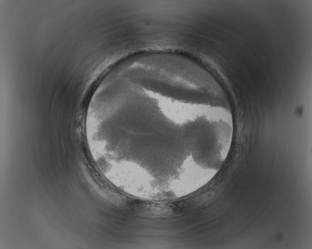 X0000115660443200912241402