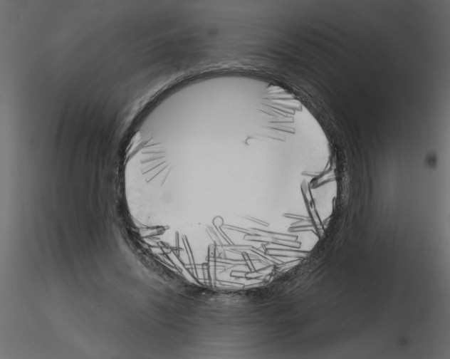 X0000115660444200912241402