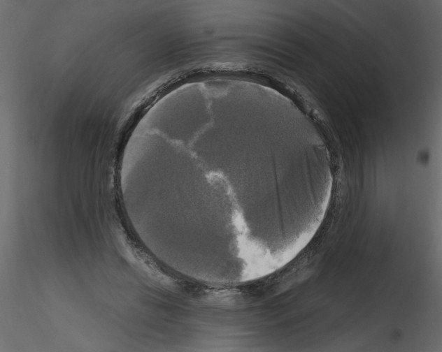 X0000115660446200912241402