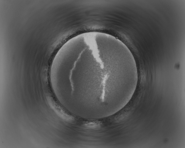 X0000115660447200912241402