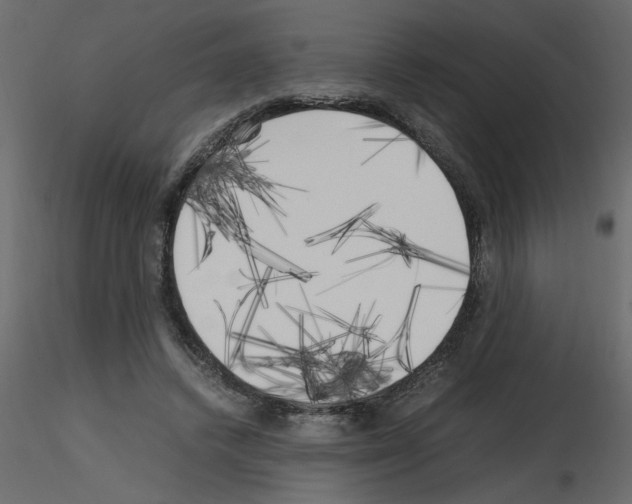 X0000115660448200912241402