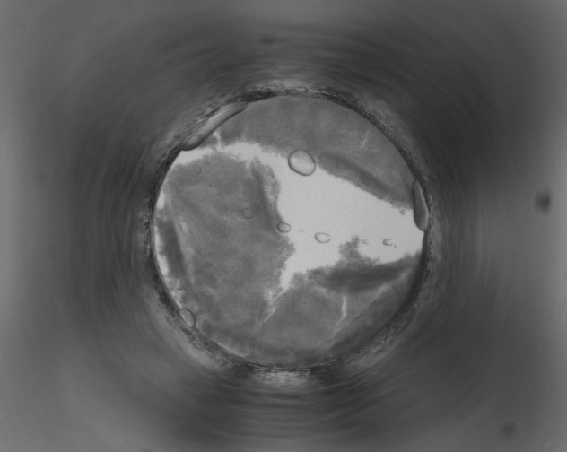 X0000115660449200912241402