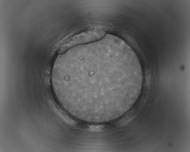 X0000115660450200912241402