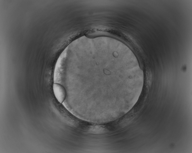 X0000115660451200912241402