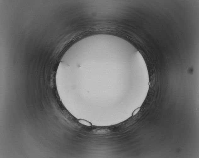 X0000115660452200912241402